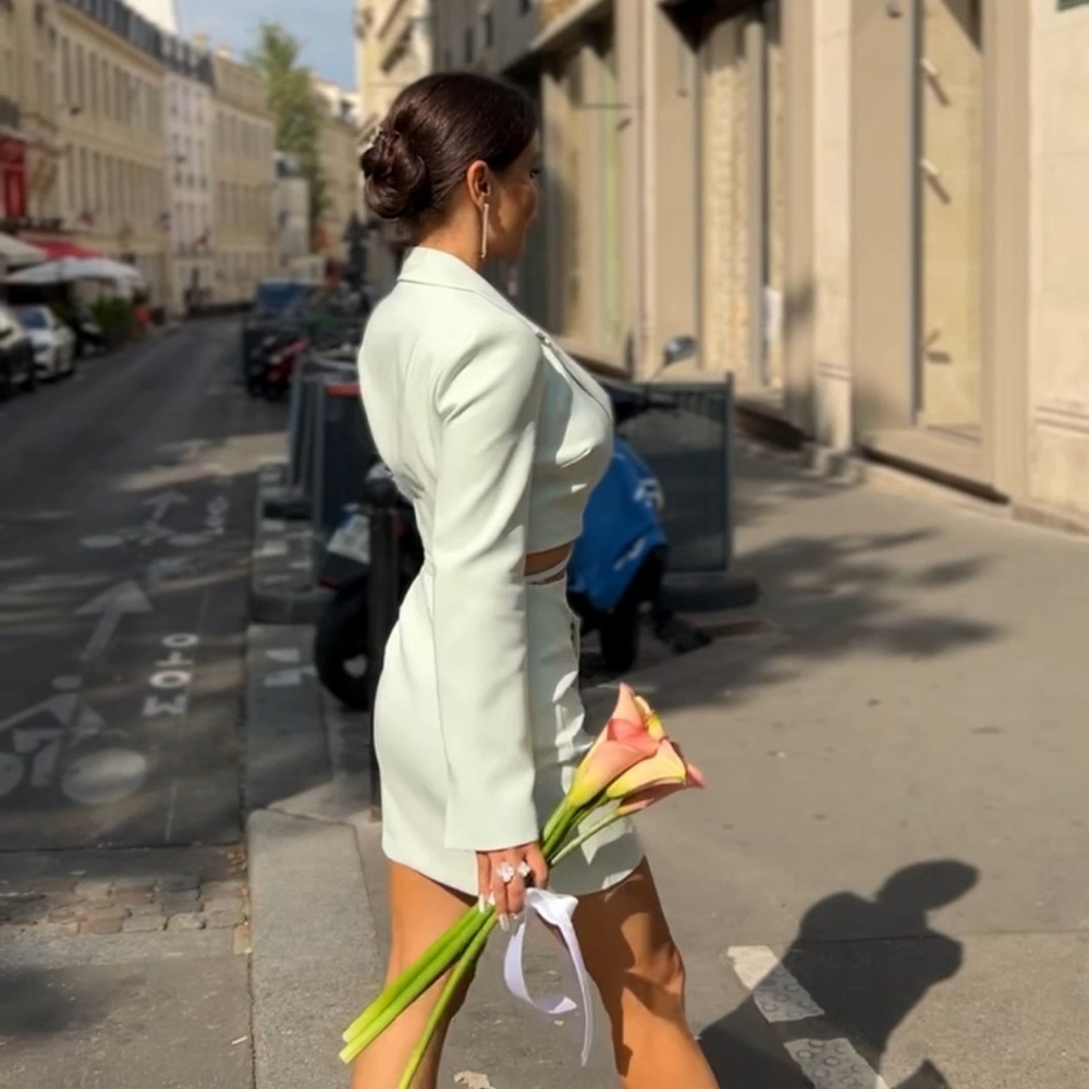 Zara blazer dress - Picture 6 of 8